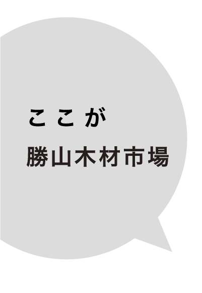 ここが勝山木材市場