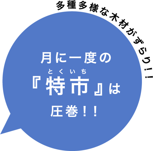 多種多様な木材がずらり！！月に一度の『特市（とくいち）』は圧巻！！